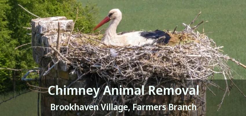 Chimney Animal Removal Brookhaven Village, Farmers Branch - TX
