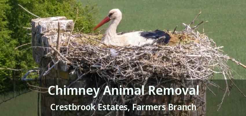 Chimney Animal Removal Crestbrook Estates, Farmers Branch - TX