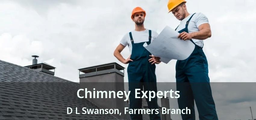 Chimney Experts D L Swanson, Farmers Branch - TX