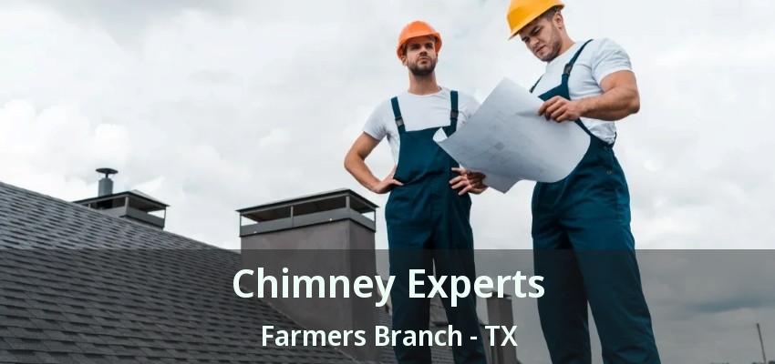 Chimney Experts Farmers Branch - TX