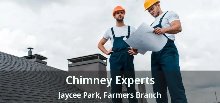 Chimney Experts Jaycee Park, Farmers Branch - TX