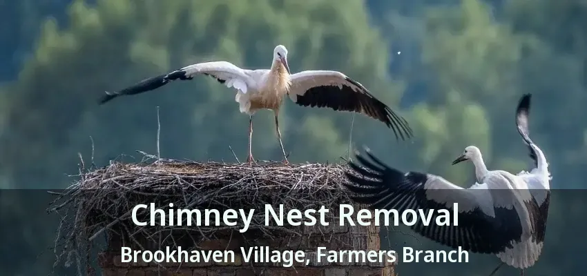 Chimney Nest Removal Brookhaven Village, Farmers Branch - TX