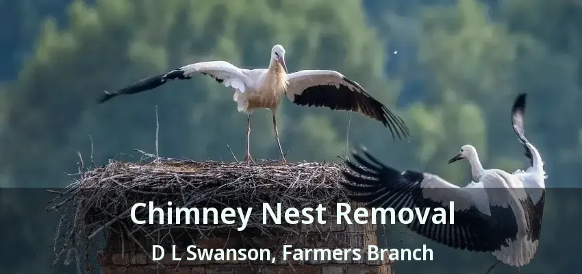 Chimney Nest Removal D L Swanson, Farmers Branch - TX