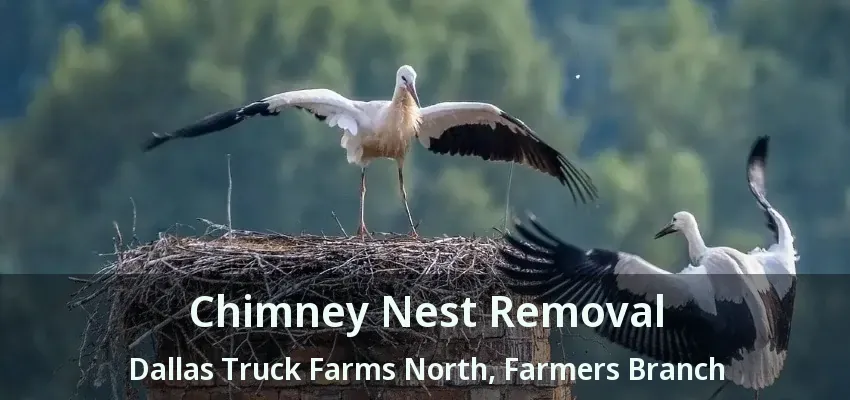 Chimney Nest Removal Dallas Truck Farms North, Farmers Branch - TX