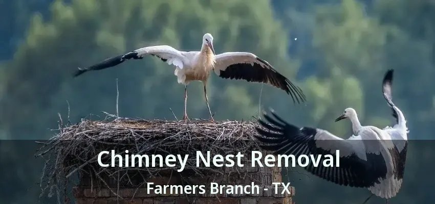 Chimney Nest Removal Farmers Branch - TX