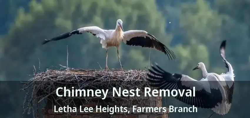 Chimney Nest Removal Letha Lee Heights, Farmers Branch - TX