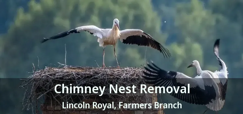 Chimney Nest Removal Lincoln Royal, Farmers Branch - TX