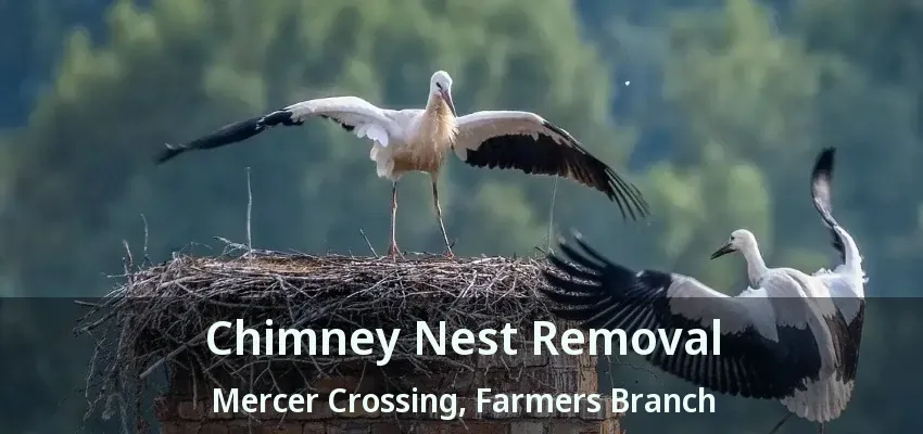 Chimney Nest Removal Mercer Crossing, Farmers Branch - TX