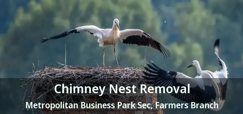 Chimney Nest Removal Metropolitan Business Park Sec, Farmers Branch - TX
