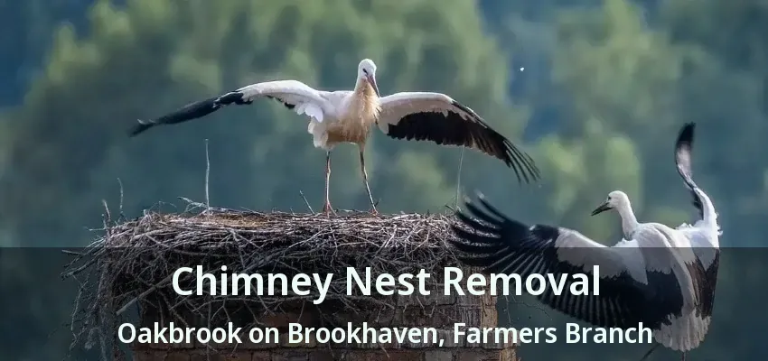 Chimney Nest Removal Oakbrook on Brookhaven, Farmers Branch - TX