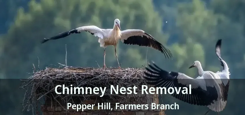 Chimney Nest Removal Pepper Hill, Farmers Branch - TX