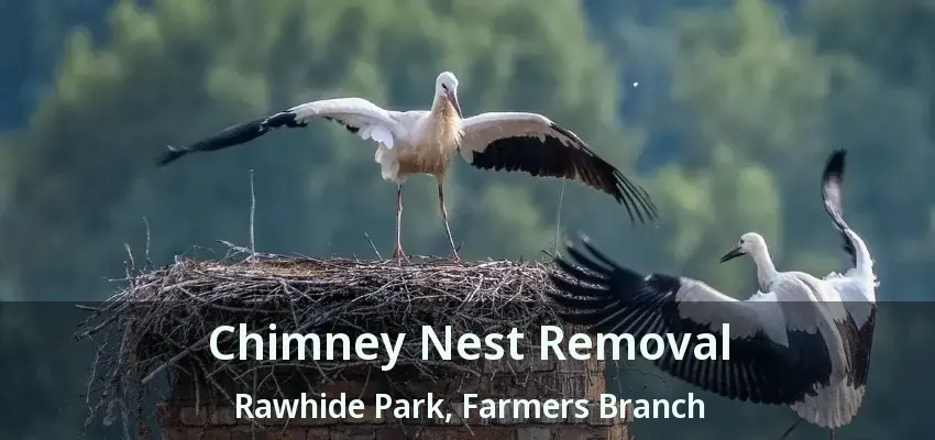 Chimney Nest Removal Rawhide Park, Farmers Branch - TX