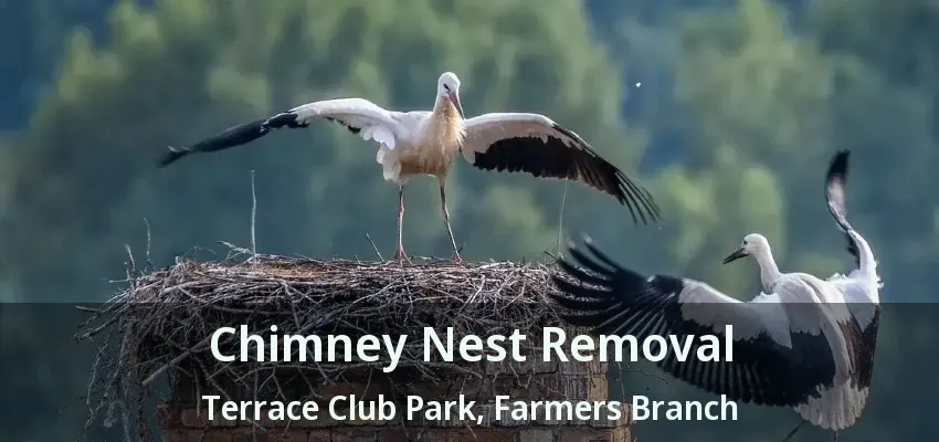 Chimney Nest Removal Terrace Club Park, Farmers Branch - TX