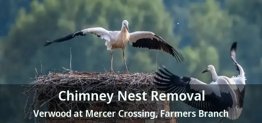 Chimney Nest Removal Verwood at Mercer Crossing, Farmers Branch - TX