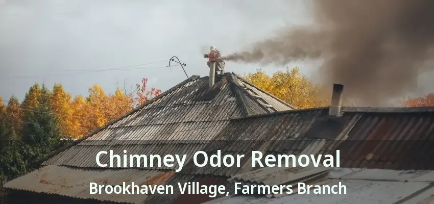 Chimney Odor Removal Brookhaven Village, Farmers Branch - TX