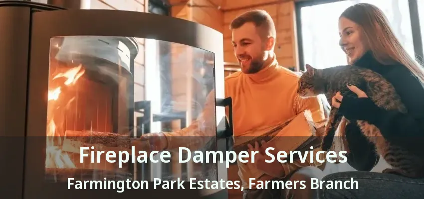 Fireplace Damper Services Farmington Park Estates, Farmers Branch - TX