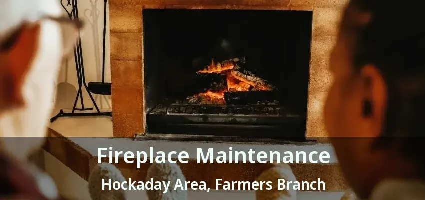 Fireplace Maintenance Hockaday Area, Farmers Branch - TX