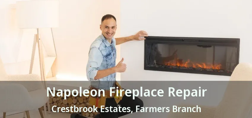 Napoleon Fireplace Repair Crestbrook Estates, Farmers Branch - TX