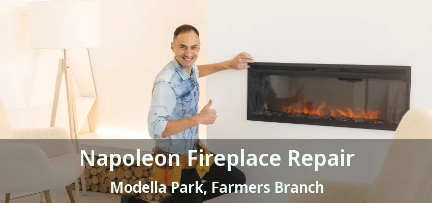 Napoleon Fireplace Repair Modella Park, Farmers Branch - TX