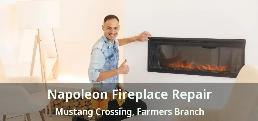 Napoleon Fireplace Repair Mustang Crossing, Farmers Branch - TX