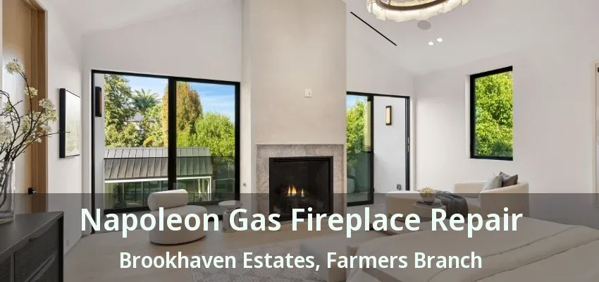 Napoleon Gas Fireplace Repair Brookhaven Estates, Farmers Branch - TX