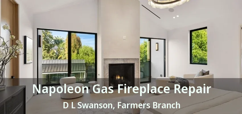 Napoleon Gas Fireplace Repair D L Swanson, Farmers Branch - TX
