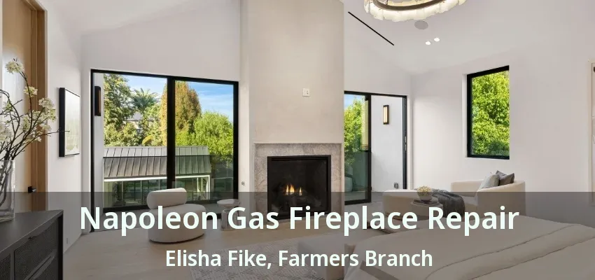 Napoleon Gas Fireplace Repair Elisha Fike, Farmers Branch - TX