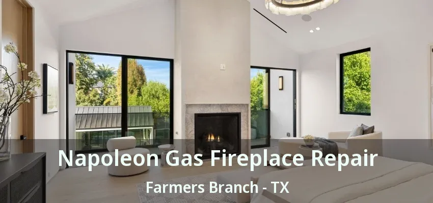 Napoleon Gas Fireplace Repair Farmers Branch - TX