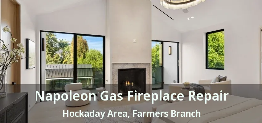 Napoleon Gas Fireplace Repair Hockaday Area, Farmers Branch - TX