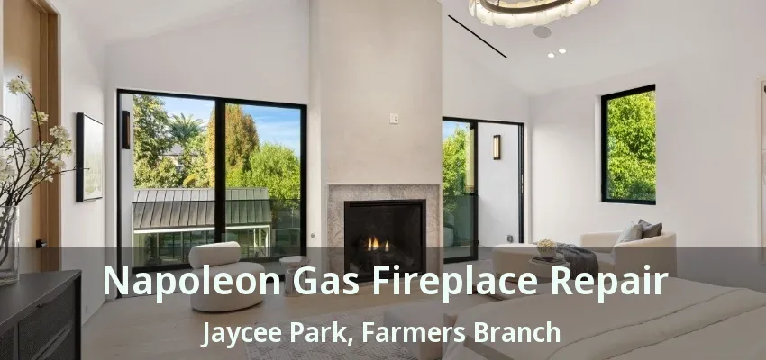 Napoleon Gas Fireplace Repair Jaycee Park, Farmers Branch - TX