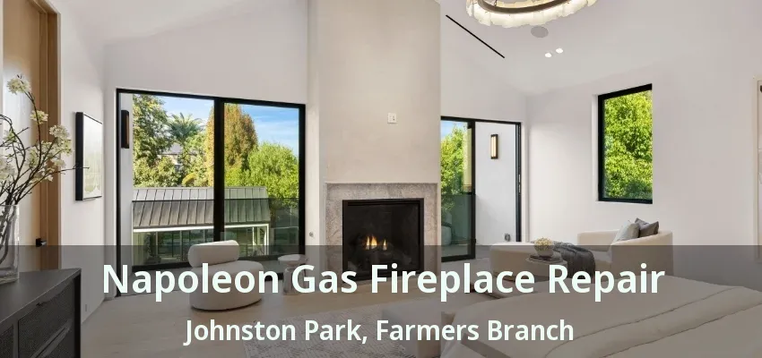 Napoleon Gas Fireplace Repair Johnston Park, Farmers Branch - TX