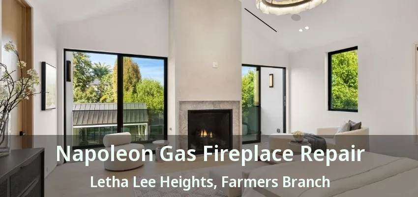 Napoleon Gas Fireplace Repair Letha Lee Heights, Farmers Branch - TX
