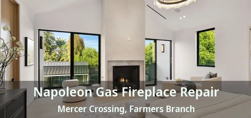Napoleon Gas Fireplace Repair Mercer Crossing, Farmers Branch - TX