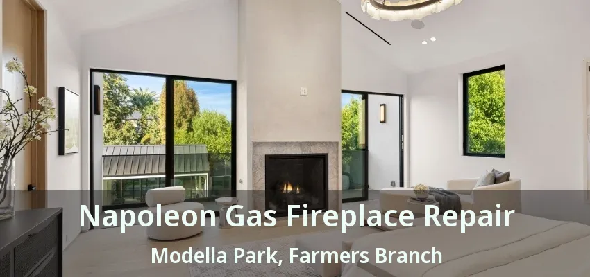 Napoleon Gas Fireplace Repair Modella Park, Farmers Branch - TX