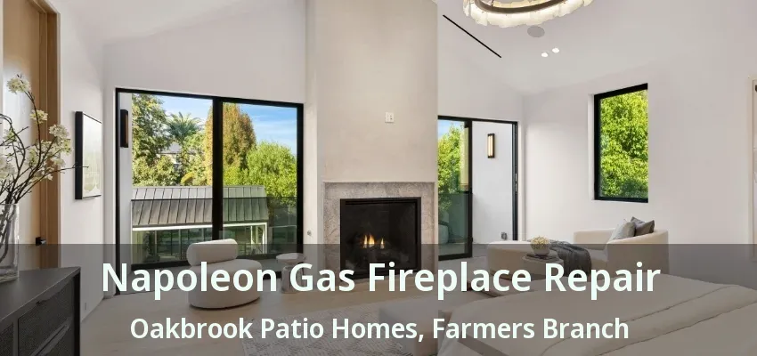 Napoleon Gas Fireplace Repair Oakbrook Patio Homes, Farmers Branch - TX