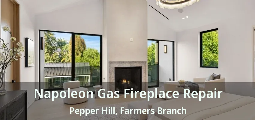 Napoleon Gas Fireplace Repair Pepper Hill, Farmers Branch - TX