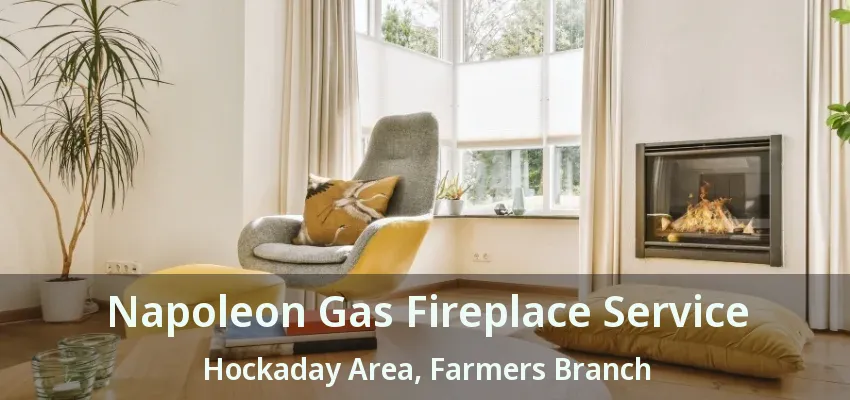 Napoleon Gas Fireplace Service Hockaday Area, Farmers Branch - TX