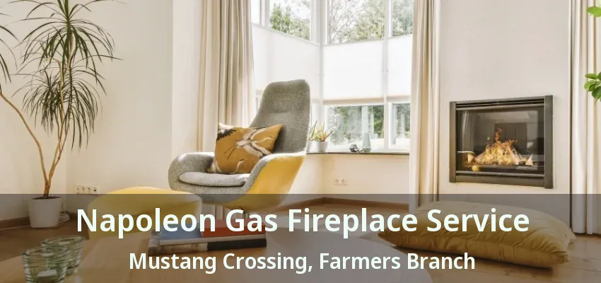 Napoleon Gas Fireplace Service Mustang Crossing, Farmers Branch - TX