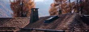 Chimney Animal Removal Brookhaven Village, Farmers Branch