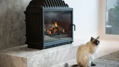 Wood Burning Fireplace Repair Brookhaven Village, Farmers Branch