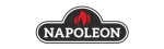 Napoleon Enviro Fireplace Repair in Farmers Branch